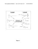 Nucleic Acid of Formula (I): GlXmGn, or (II): ClXmCn, in Particular as an     Immune-Stimulating Agent/Adjuvant diagram and image