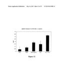 Nucleic Acid of Formula (I): GlXmGn, or (II): ClXmCn, in Particular as an     Immune-Stimulating Agent/Adjuvant diagram and image