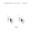 ANTI-CD160 SPECIFIC ANTIBODIES FOR THE TREATMENT OF EYE DISORDERS BASED ON     NEOANGIOGENESIS diagram and image