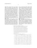 Osteoprotegerin in Neuroprotection diagram and image