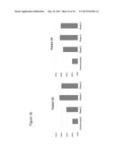 DNA VACCINE FOR ALZHEIMER S DISEASE diagram and image