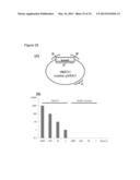 DNA VACCINE FOR ALZHEIMER S DISEASE diagram and image