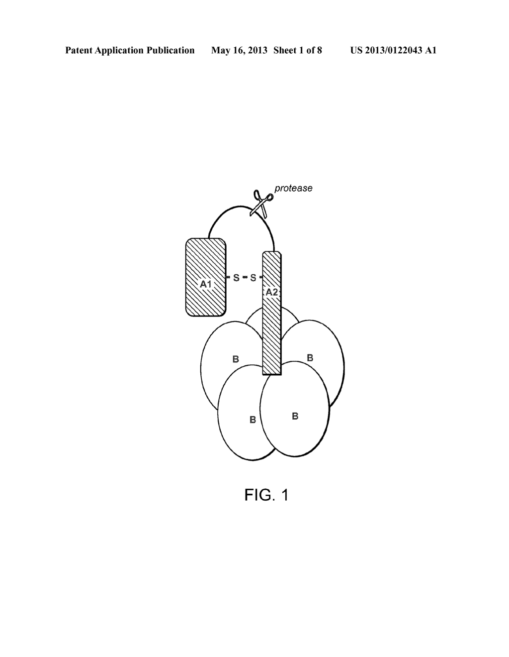 MODIFIED POLYPEPTIDES AND PROTEINS AND USES THEREOF - diagram, schematic, and image 02