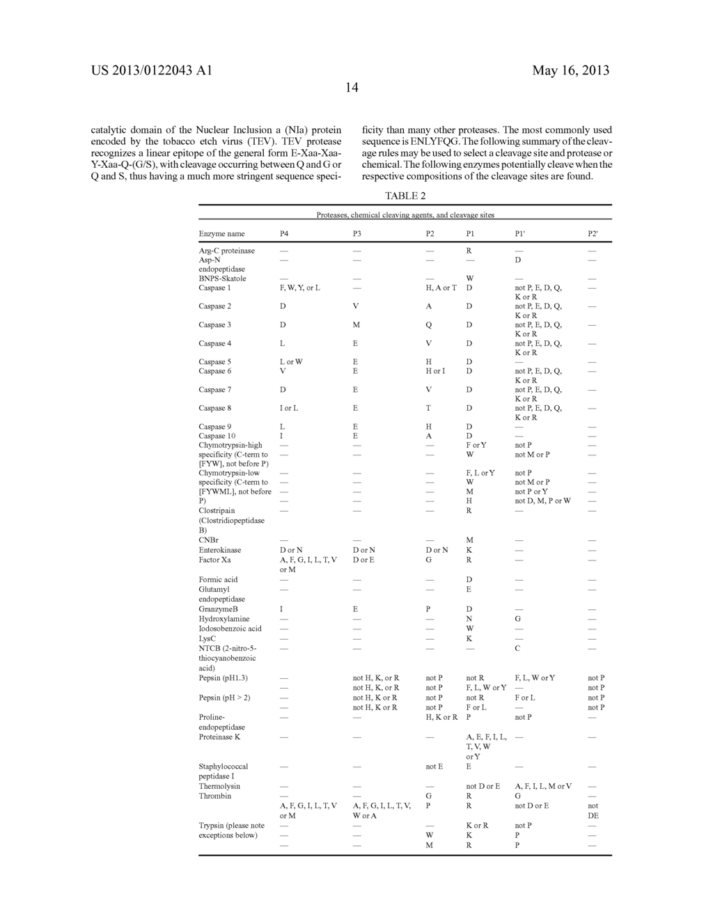 MODIFIED POLYPEPTIDES AND PROTEINS AND USES THEREOF - diagram, schematic, and image 23