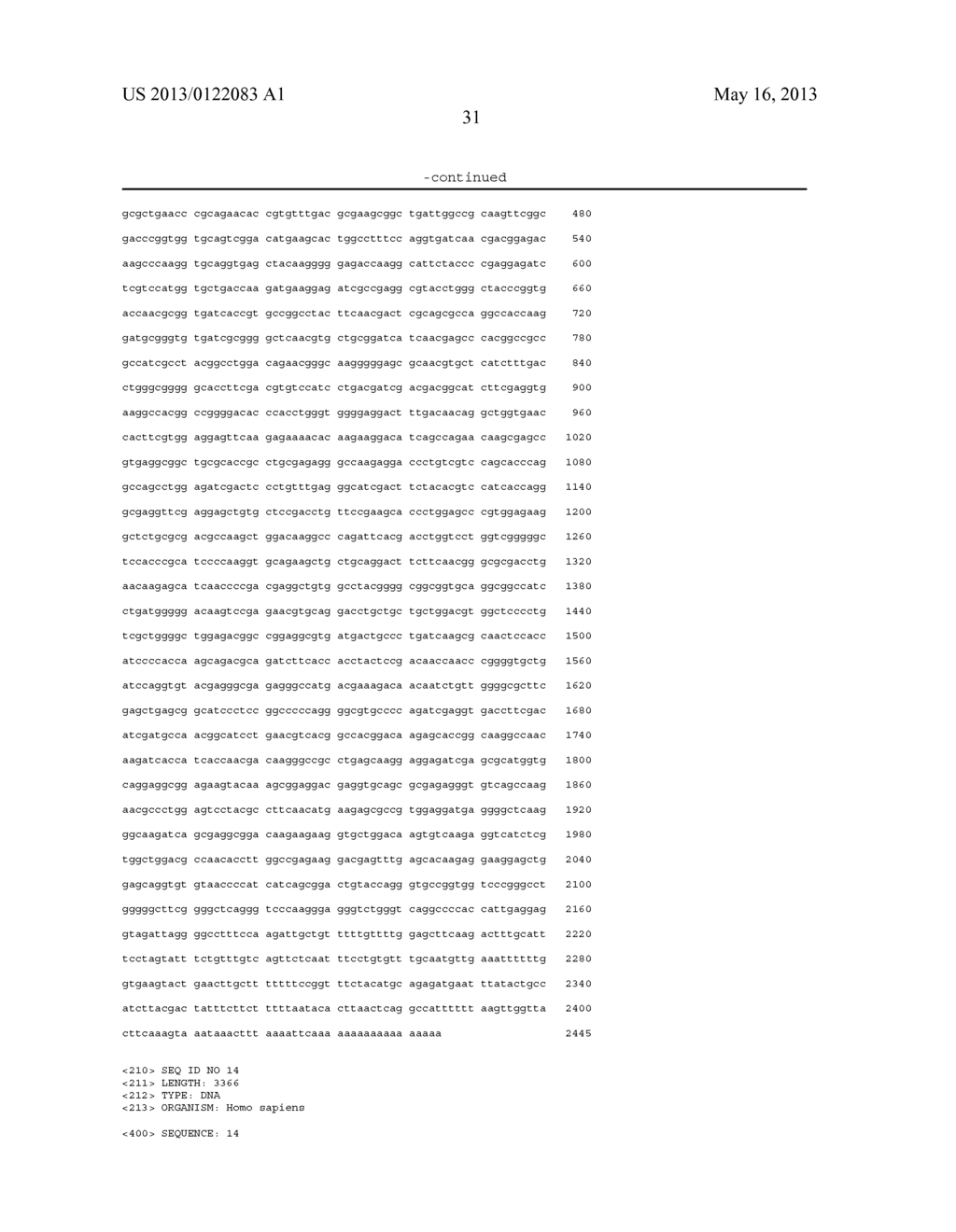 DNA VACCINES ENCODING HEAT SHOCK PROTEINS - diagram, schematic, and image 53