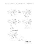 PRODRUG COMPOSITIONS, PRODRUG NANOPARTICLES, AND METHODS OF USE THEREOF diagram and image