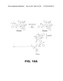 PRODRUG COMPOSITIONS, PRODRUG NANOPARTICLES, AND METHODS OF USE THEREOF diagram and image