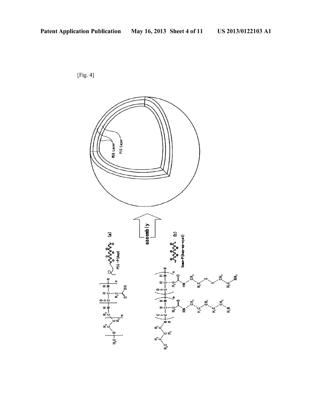 ELECTROSTATICALLY BONDED VESICLE - diagram, schematic, and image 05