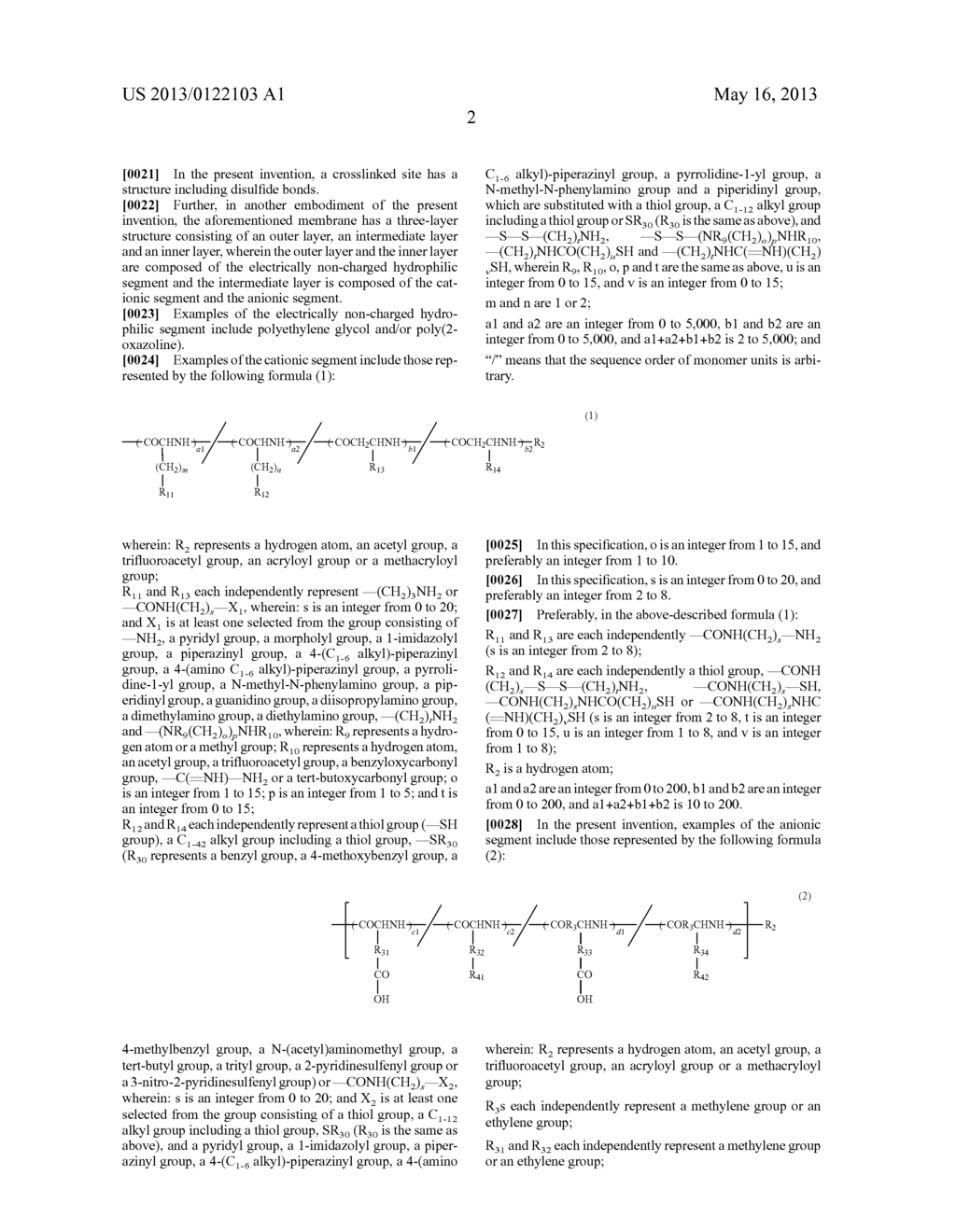 ELECTROSTATICALLY BONDED VESICLE - diagram, schematic, and image 14