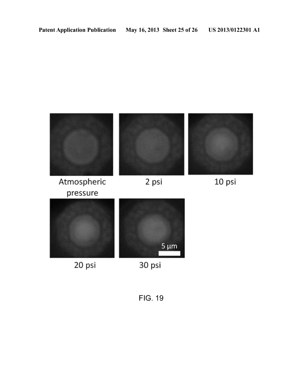 PRESSURE SENSITIVE MICROPARTICLES FOR MEASURING CHARACTERISTICS OF FLUID     FLOW - diagram, schematic, and image 26