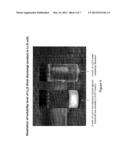 AQUEOUS ELECTROLYTE LITHIUM SULFUR BATTERIES diagram and image