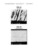 NEGATIVE ELECTRODE MATERIAL FOR LITHIUM ION BATTERIES diagram and image