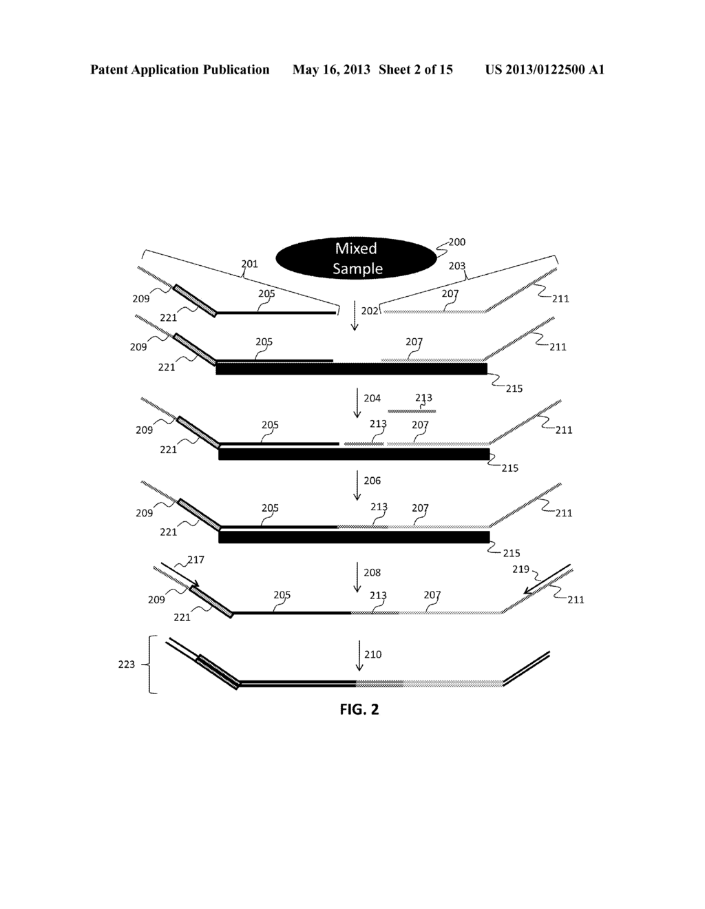 ASSAY SYSTEMS FOR GENETIC ANALYSIS - diagram, schematic, and image 03