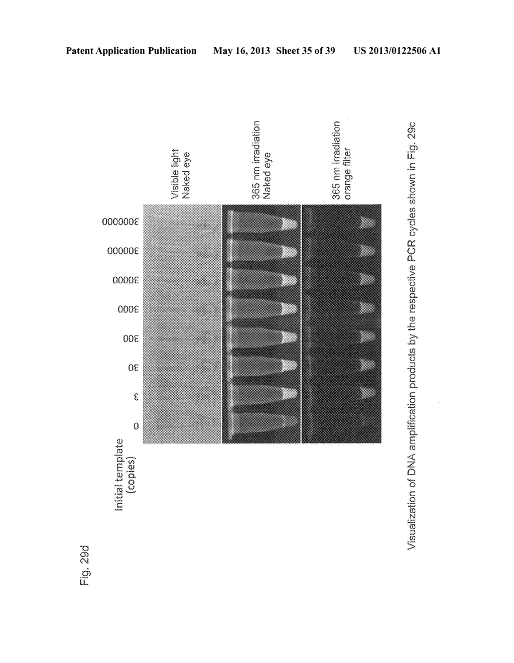 NUCLEIC ACID BASE ANALOGS WITH QUENCHING AND FLUORESCENT ACTIVITIES AND     APPLICATIONS THEREOF - diagram, schematic, and image 36