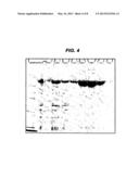 METHOD OF PREPARING A FUSION PROTEIN FOR THE INHIBITION OR REDUCTION OF     SECRETION OF AN EXTRACELLULAR MEDIATOR FROM A TARGET CELL diagram and image