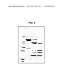 METHOD OF PREPARING A FUSION PROTEIN FOR THE INHIBITION OR REDUCTION OF     SECRETION OF AN EXTRACELLULAR MEDIATOR FROM A TARGET CELL diagram and image