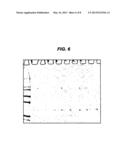 METHOD OF PREPARING A FUSION PROTEIN FOR THE INHIBITION OR REDUCTION OF     SECRETION OF AN EXTRACELLULAR MEDIATOR FROM A TARGET CELL diagram and image