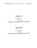 Novel fragrance and methods for production fo 5-epi- -vetivone,     2-isopropyl-6, 10-dimethyl-spiro[4.5]deca-2,6-dien-8-one, and     2-isopropyl-6, 10-dimethyl-spiro[4.5]deca-1, 6-dien-8-one diagram and image