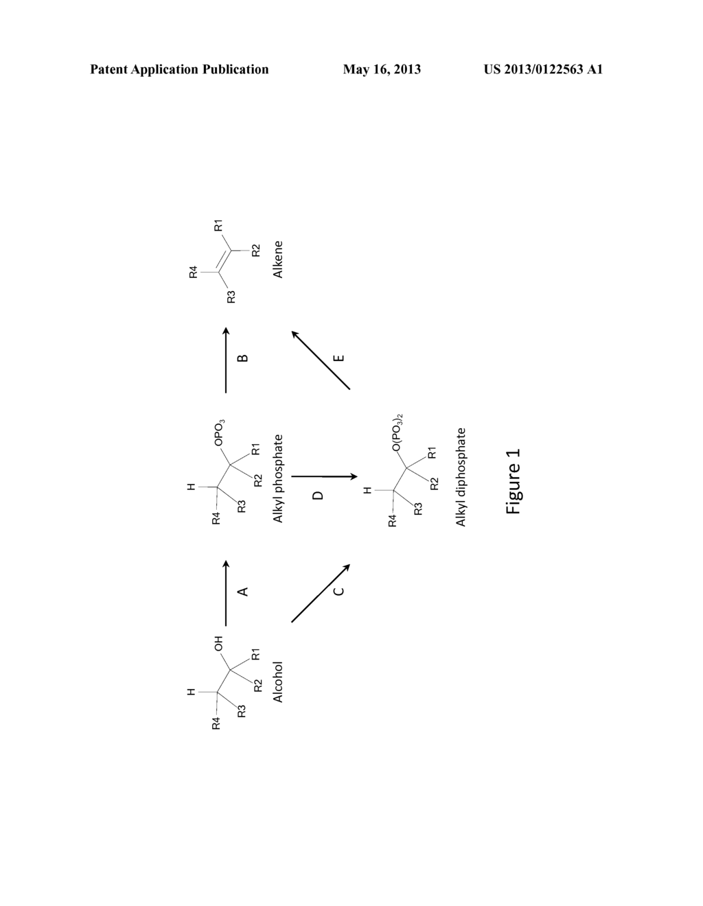 MICROORGANISMS AND METHODS FOR PRODUCING ALKENES - diagram, schematic, and image 02