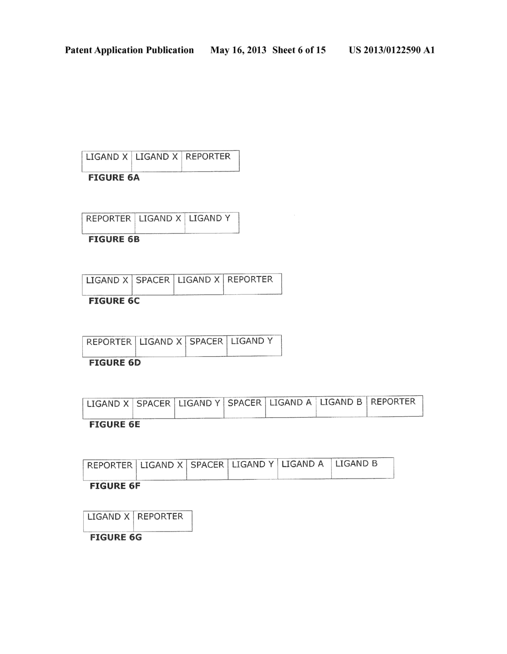 AKT LIGANDS AND POLYNUCLEOTIDES ENCODING AKT LIGANDS - diagram, schematic, and image 07