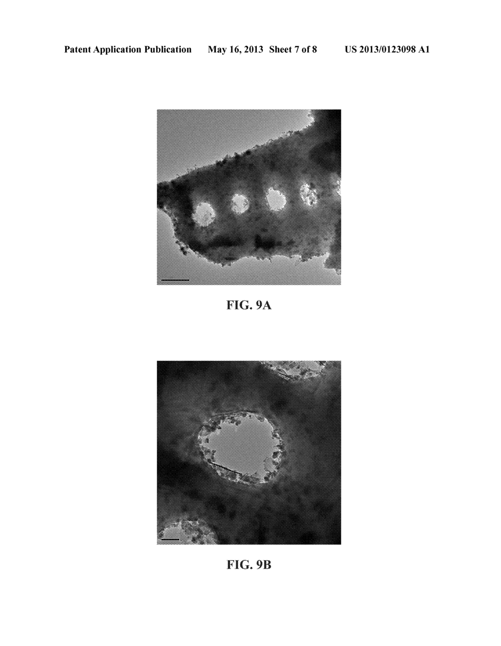 ZERO VALENT METAL COMPOSITE, MANUFACTURING, SYSTEM AND METHOD USING     THEREOF, FOR CATALYTICALLY TREATING CONTAMINATED WATER - diagram, schematic, and image 08