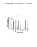 DIAGNOSIS KIT AND CHIP FOR BLADDER CANCER USING BLADDER CANCER SPECIFIC     METHYLATION MARKER GENE diagram and image