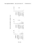 DIAGNOSIS KIT AND CHIP FOR BLADDER CANCER USING BLADDER CANCER SPECIFIC     METHYLATION MARKER GENE diagram and image