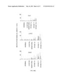 DIAGNOSIS KIT AND CHIP FOR BLADDER CANCER USING BLADDER CANCER SPECIFIC     METHYLATION MARKER GENE diagram and image