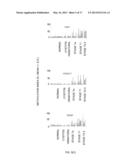 DIAGNOSIS KIT AND CHIP FOR BLADDER CANCER USING BLADDER CANCER SPECIFIC     METHYLATION MARKER GENE diagram and image