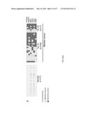 DIAGNOSIS KIT AND CHIP FOR BLADDER CANCER USING BLADDER CANCER SPECIFIC     METHYLATION MARKER GENE diagram and image