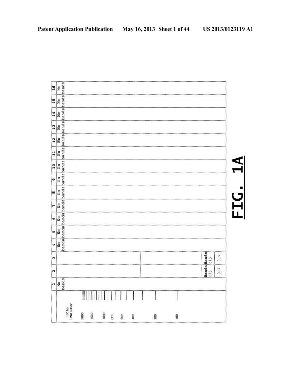 DETECTION OF FOOD THREAT AGENTS AND FOOD-BORNE PATHOGENS - diagram, schematic, and image 02