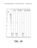 DETECTION OF FOOD THREAT AGENTS AND FOOD-BORNE PATHOGENS diagram and image