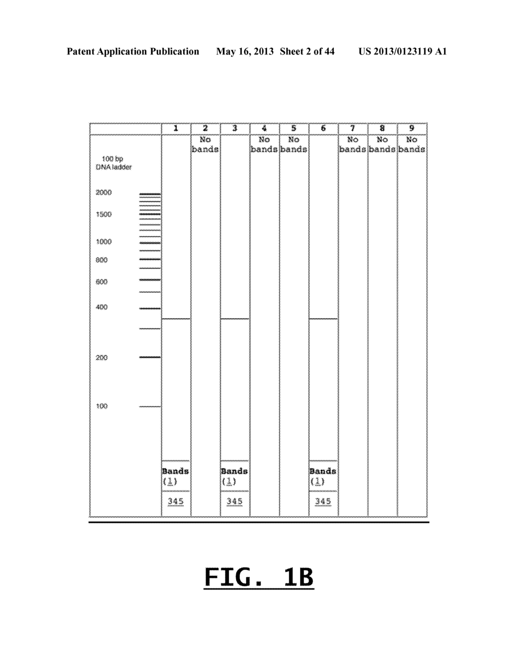 DETECTION OF FOOD THREAT AGENTS AND FOOD-BORNE PATHOGENS - diagram, schematic, and image 03