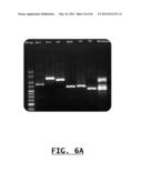 DETECTION OF FOOD THREAT AGENTS AND FOOD-BORNE PATHOGENS diagram and image