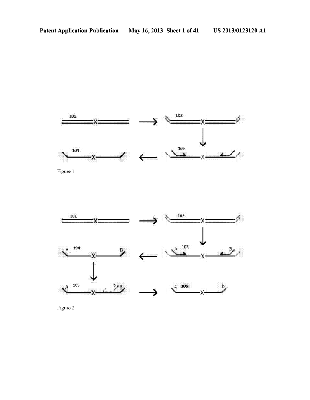 Highly Multiplex PCR Methods and Compositions - diagram, schematic, and image 02