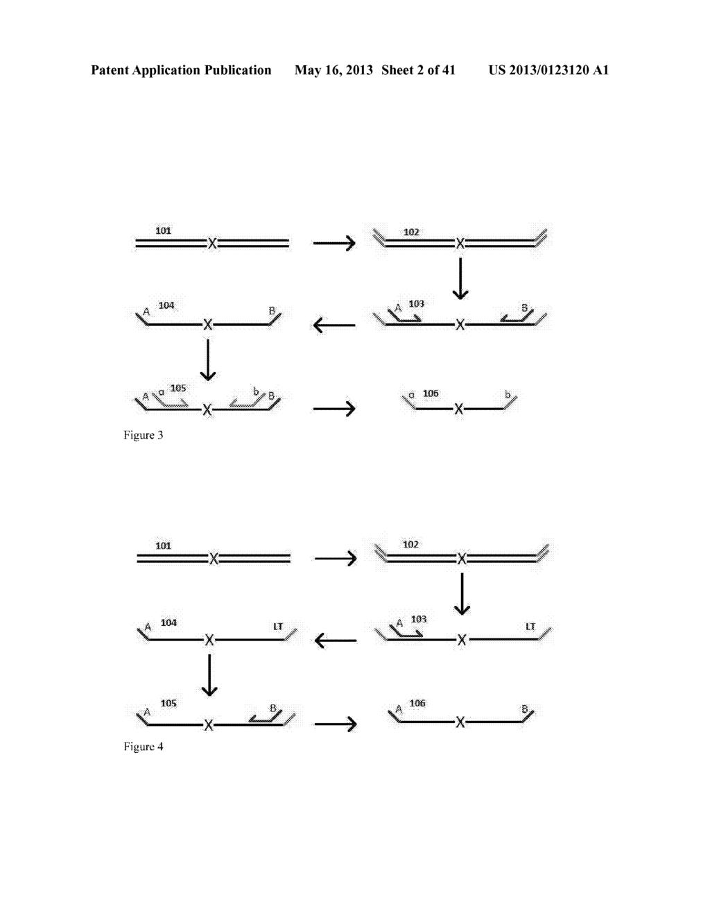 Highly Multiplex PCR Methods and Compositions - diagram, schematic, and image 03