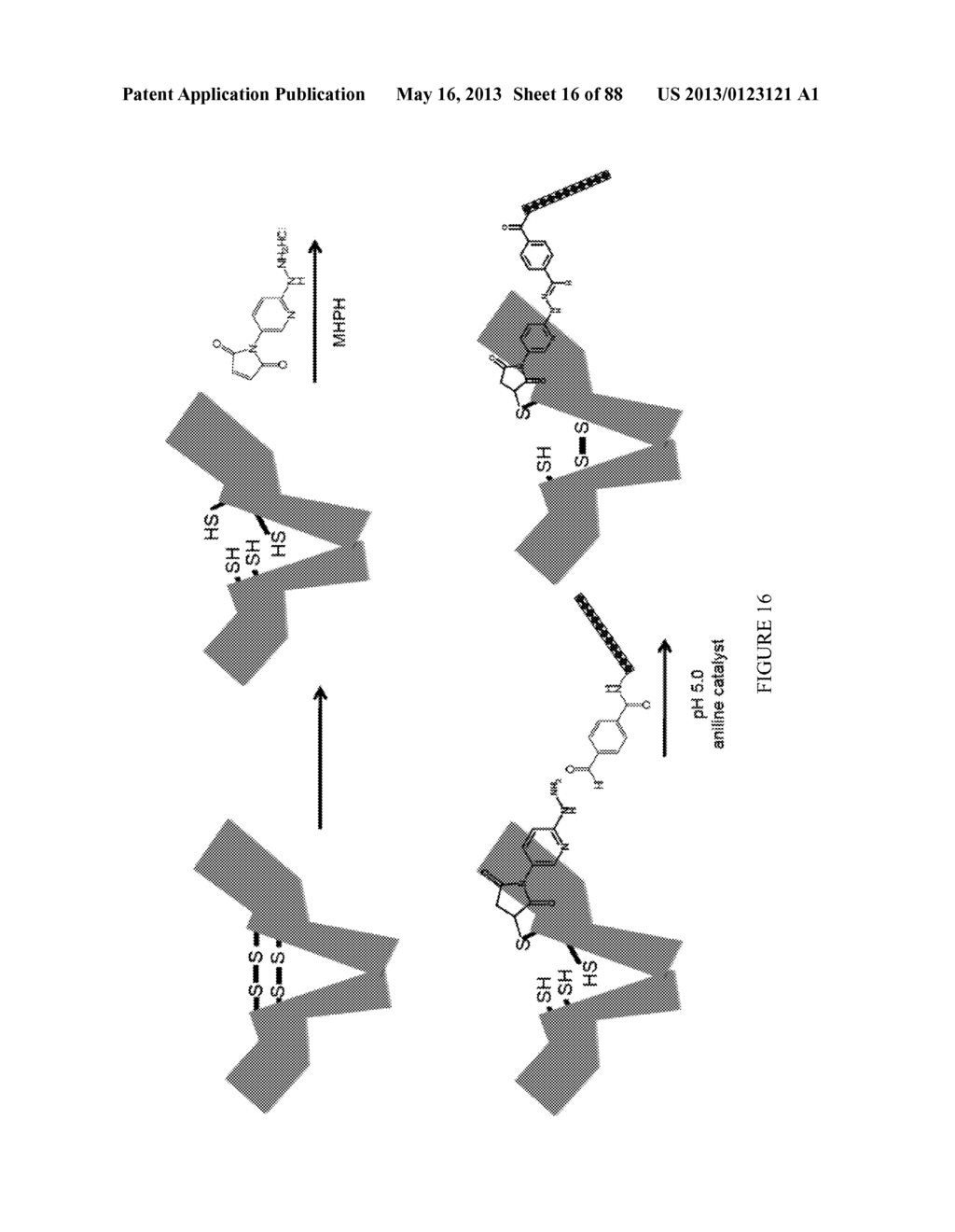 Methods and/or Use of Oligonucleotide-Bead Conjugates for Assays and     Detections - diagram, schematic, and image 17