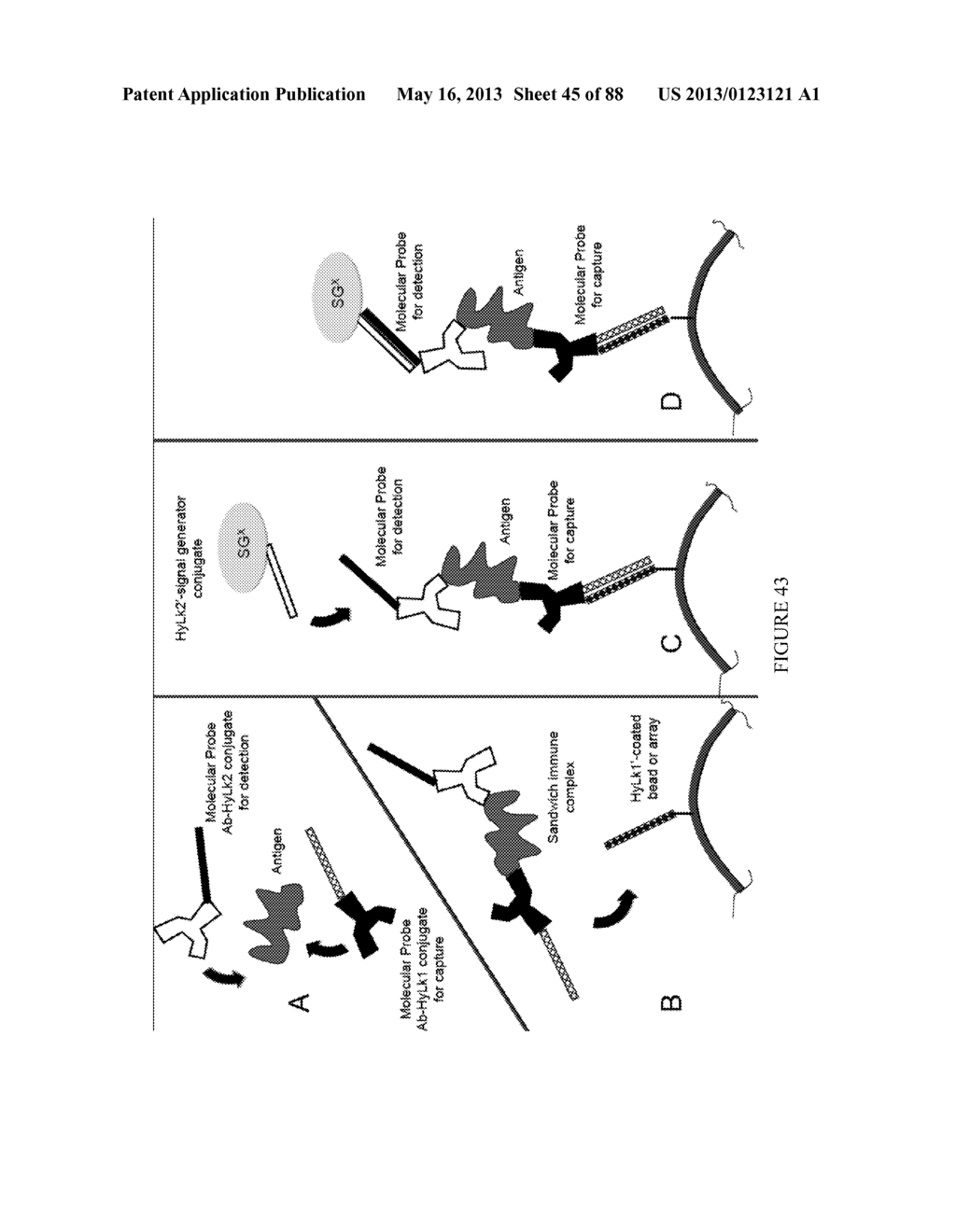 Methods and/or Use of Oligonucleotide-Bead Conjugates for Assays and     Detections - diagram, schematic, and image 46