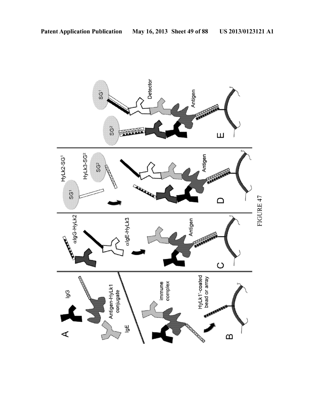 Methods and/or Use of Oligonucleotide-Bead Conjugates for Assays and     Detections - diagram, schematic, and image 50