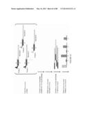 Methods and/or Use of Oligonucleotide-Bead Conjugates for Assays and     Detections diagram and image