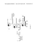 Methods and/or Use of Oligonucleotide-Bead Conjugates for Assays and     Detections diagram and image