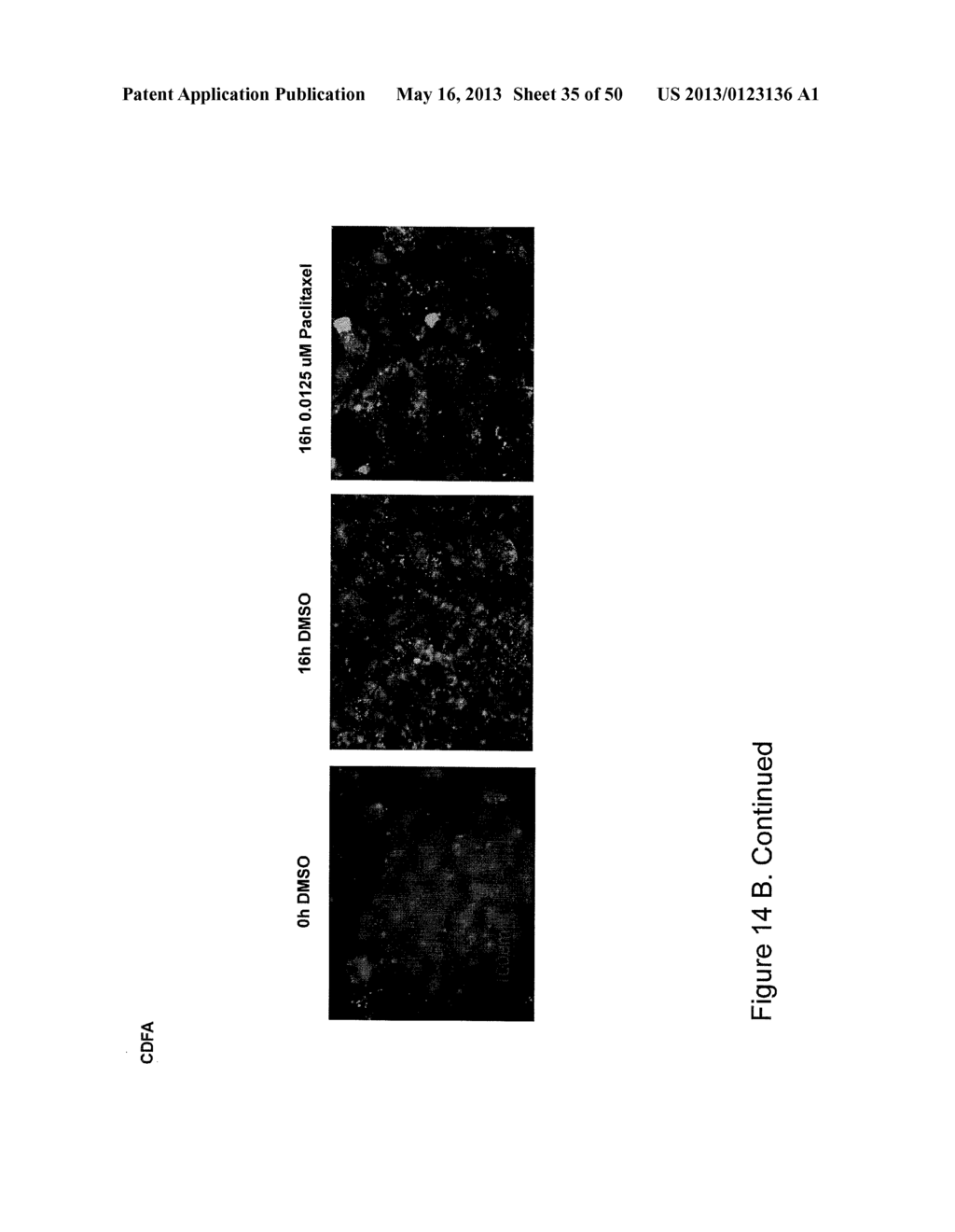 REAL-TIME ELECTRONIC CELL SENSING SYSTEM AND APPLICATIONS FOR CYTOTOXICITY     PROFILING AND COMPOUND ASSAYS - diagram, schematic, and image 36