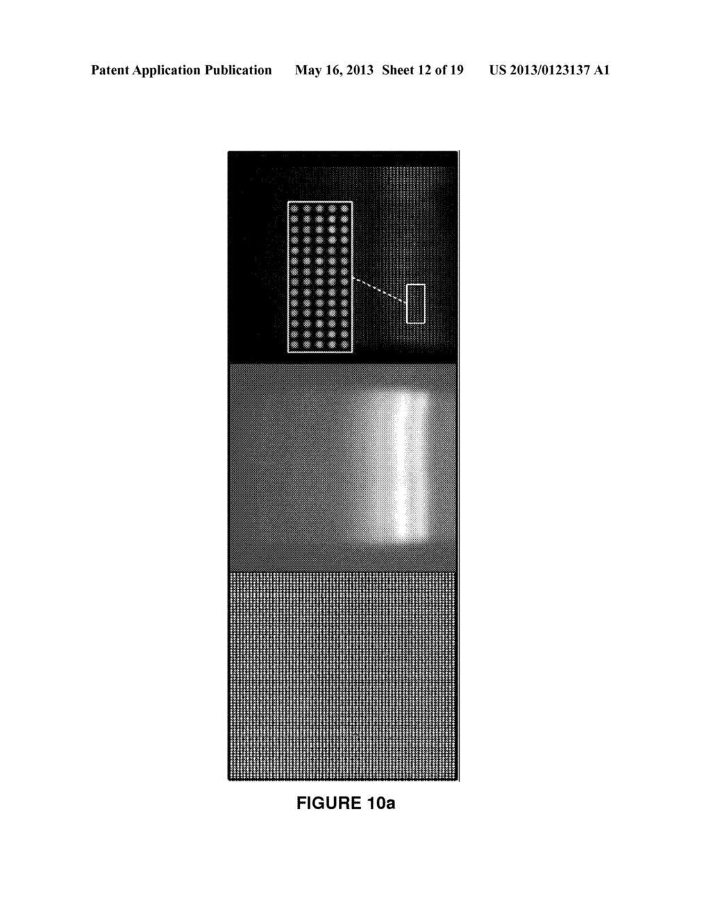 METHOD FOR THE CHARACTERIZATION OF INTERMOLECULAR INTERACTIONS - diagram, schematic, and image 13