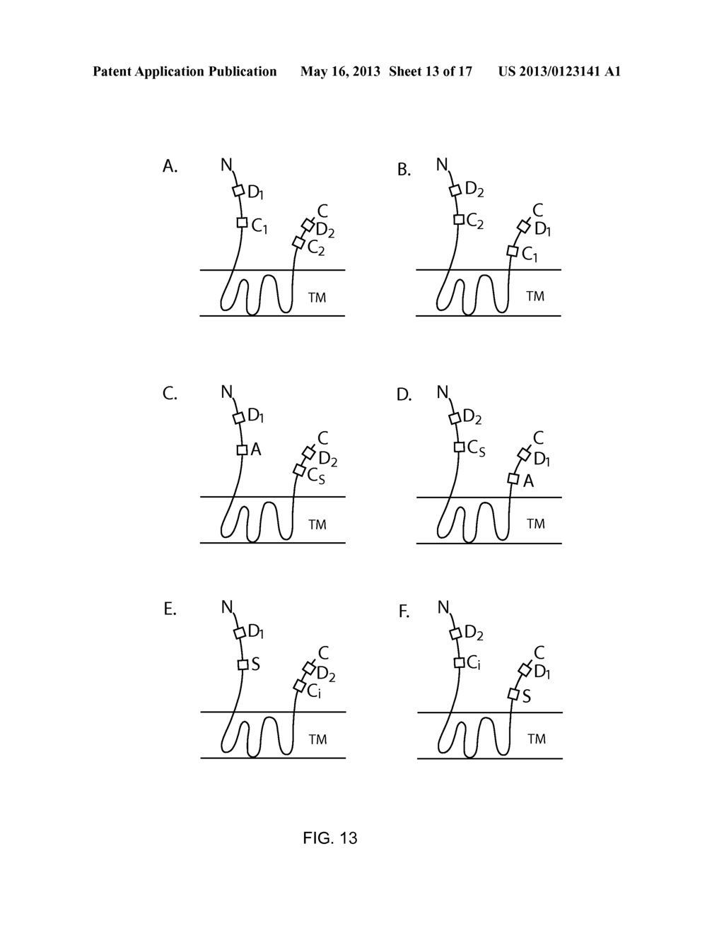 Cellular Libraries of Peptide Sequences (CLiPS) and Methods of Using the     Same - diagram, schematic, and image 14