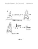 METHODS. PARTICLES, AND ASSAY KITS FOR IDENTIFYING PRESENCE OF BIOLOGICAL     PARAMETERS diagram and image