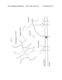 Compositions for Regenerating Defective or Absent Myocardium diagram and image