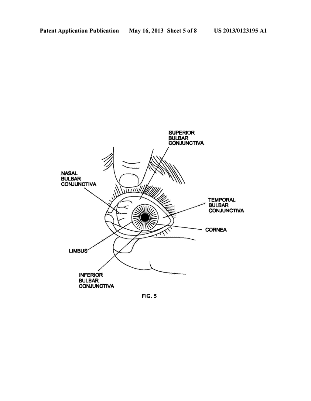 SUSTAINED ACTION FORMULATION OF CYCLOSPORIN FORM 2 - diagram, schematic, and image 06