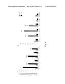 MODULATION OF CYTOKINE-INDUCED CHRONIC INFLAMMATORY RESPONSES diagram and image