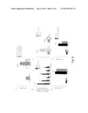 MODULATION OF CYTOKINE-INDUCED CHRONIC INFLAMMATORY RESPONSES diagram and image