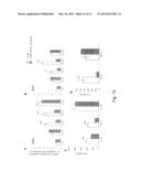 MODULATION OF CYTOKINE-INDUCED CHRONIC INFLAMMATORY RESPONSES diagram and image